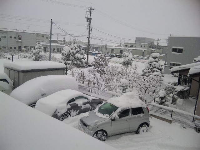 大雪!?